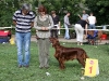 Contario Ode Capella, J,CAC, BOB, BIG, Best in Show Juniors - I, Best in Show - II