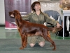 Всероссийкие выставки в Новосибирске, Contario Ode Mersedes - 2*J.CAC, 2*Junior BOB (9 месяцев)