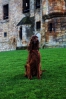 Linlithgow Palace