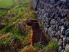 Scotland Border