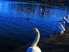 Linlithgow Palace