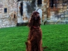 Linlithgow Palace