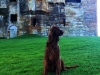 Linlithgow Palace