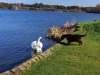 Linlithgow Lake