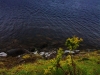 Loch Ness Lake