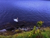 Loch Ness Lake