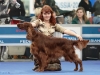Contario Ode Winconta, Лучшая собака 7 группы на международной выставки Россия-2011