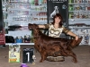 Contario Ode Winconta, Лучшая собака 7 группы на международной выставки в Харькове 2011
