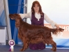 Евразия - 2012, Contario Ode Winconta - CW, CAC, CACIB, BOS, Чемпион Евразии и РКФ