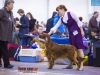 Eurasia 2013, Contario Ode Capella - 2*CAC, 2*R.CACIB Judges Hana Ahrens and Hans Rosenberg