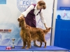 Eurasia 2013, Contario Ode Capella - 2*CAC, 2*R.CACIB Judges Hana Ahrens and Hans Rosenberg