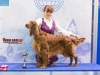 Eurasia 2013, Contario Ode Capella - 2*CAC, 2*R.CACIB Judges Hana Ahrens and Hans Rosenberg