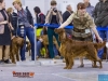 Eurasia 2013, Contario Ode Capella - 2*CAC, 2*R.CACIB Judges Hana Ahrens and Hans Rosenberg