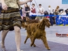 Eurasia 2013, Contario Ode Capella - 2*CAC, 2*R.CACIB Judges Hana Ahrens and Hans Rosenberg