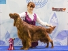 Eurasia 2013, Mult.Sh.Ch. Contario Ode Winconta - R.CAC, CAC, CACIB, Best Breed Bitch Judges Hana Ahrens and Hans Rosenberg