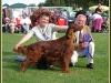 Asoftwind Of The Golden Vale, Best in Show 2009