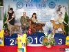 Contario Ode Winconta, CAC, CACIB, BOB, BIG - I на России 2011