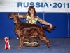 Dioskury Driada - Лучший ветеран породы на России 2011