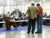 Fansett Secret Contario Ode- Best Breed Junior