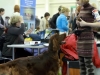 Fansett Secret Contario Ode- Best Breed Junior