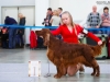 Golden Collar 2014 - Contario Ode Capella - Best of Breed, Breed Winner 2014