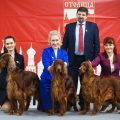 «Контарио Оде» - Лучший питомник Национальной выставки Ирландских сеттеров 2023 и Лучший питомник Всепородной выставки собак