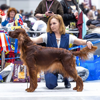 Contario Ode Quasi Una Fantasia