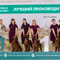 Russia2026-2-BIS progeny
